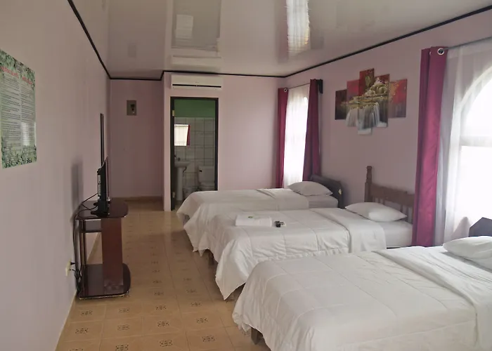 Hotel Del Rio
